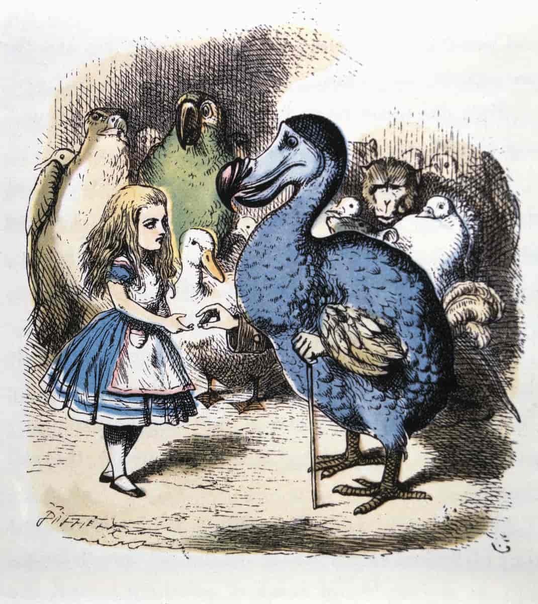 Alice og dodoen 