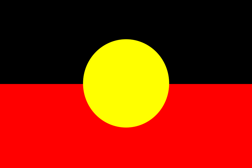 Et flagg som er delt horisontalt i et rødt felt nederst og et svart felt øverst. Midt på er en gul sirkel. Illustrasjon