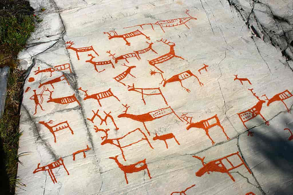 Bilder i rød maling på stein av mange dyr, som ligner på reinsdyr.