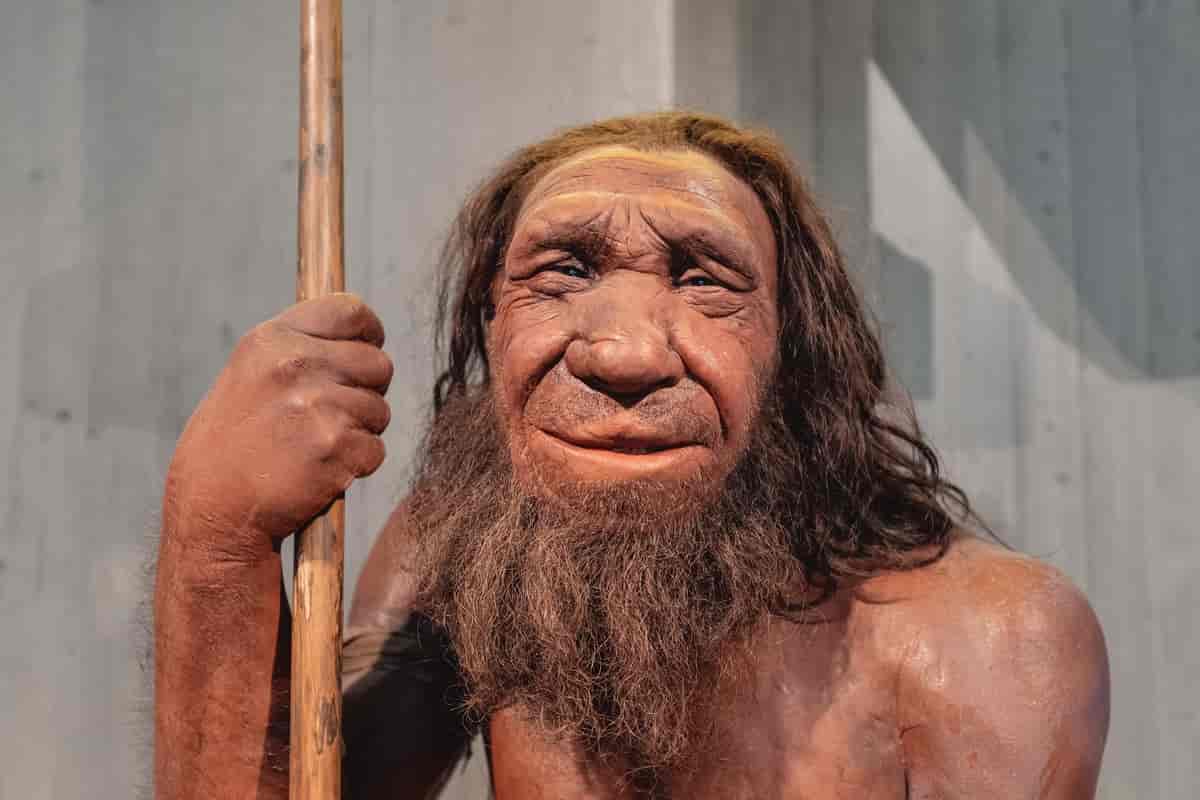 Neandertaler (voksfigur)