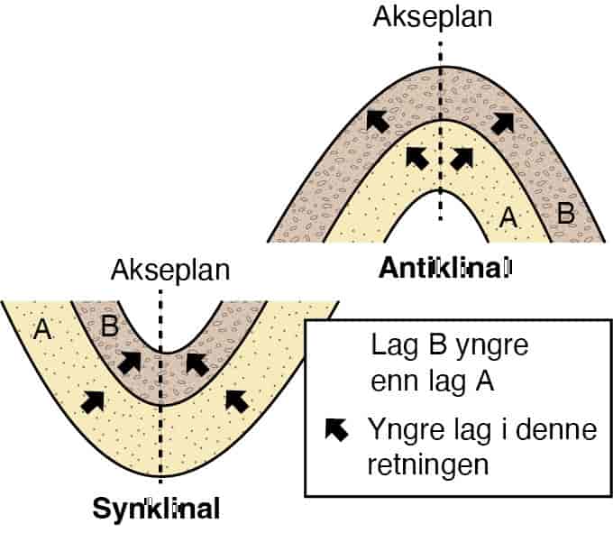 Synklinal og antiklinal fold