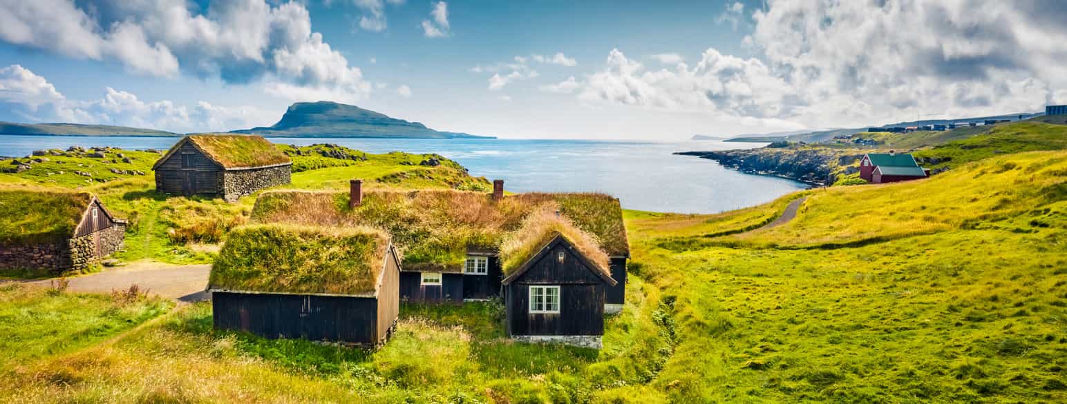 Hus med torvtak i utkanten av Færøyenes hovedstad Torshavn