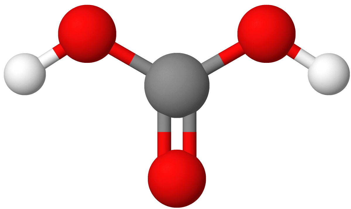 Molekylmodell karbonsyre