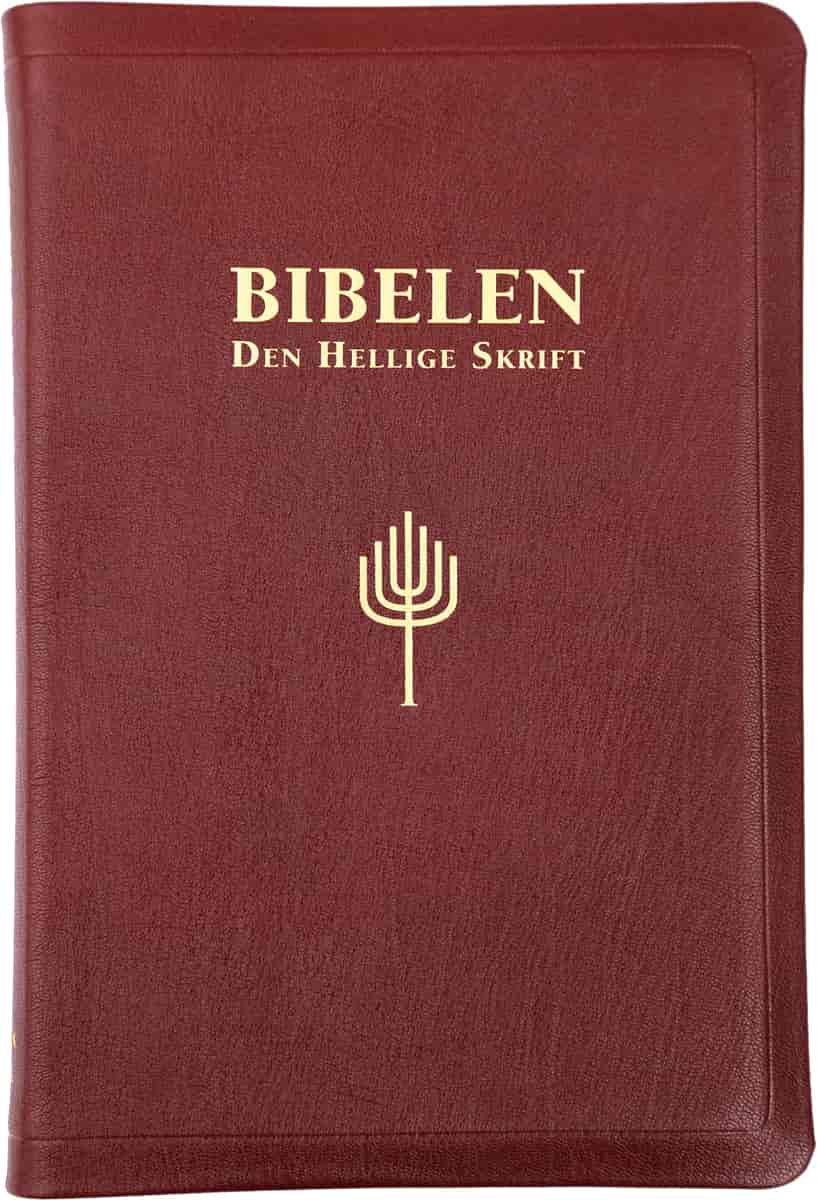 Forsiden av en bibel. Det er en rødbrun bok, og det står trykket med gullbokstaver «Bibelen _ den hellige skrift». 