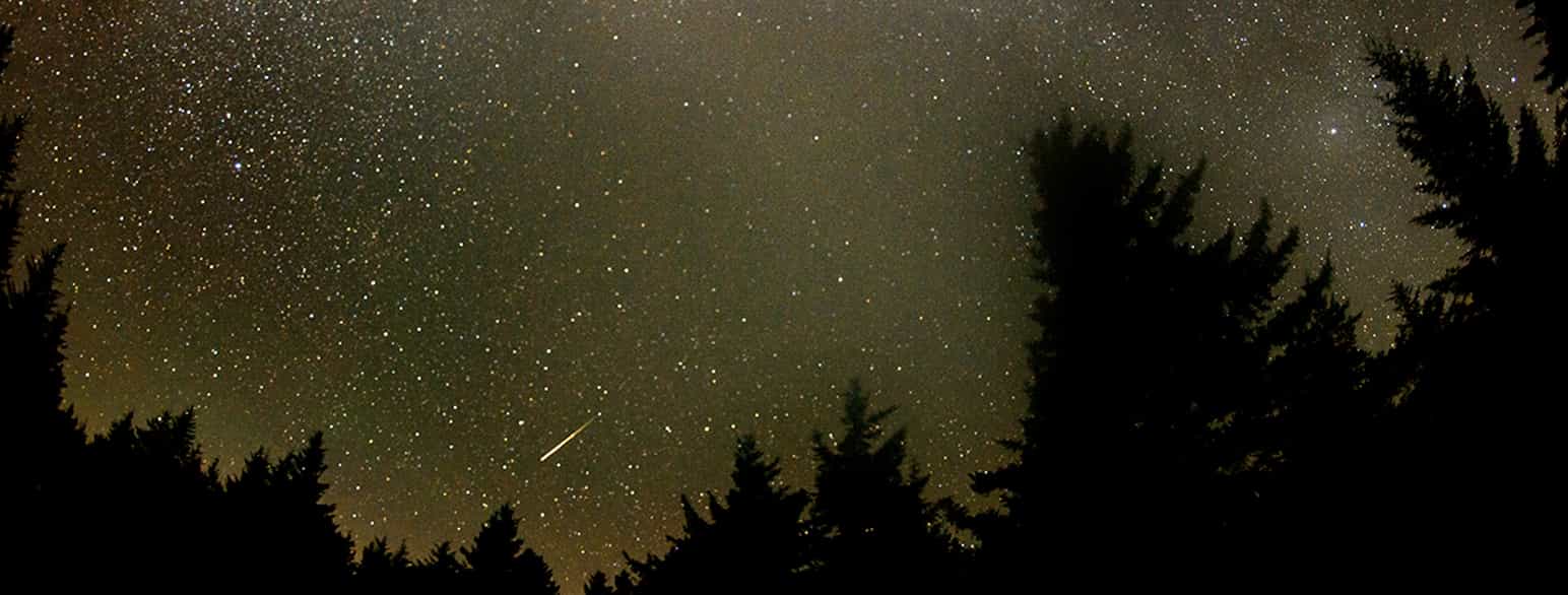 Meteorsvermen Perseidene kan ses hvert år i juli og august.