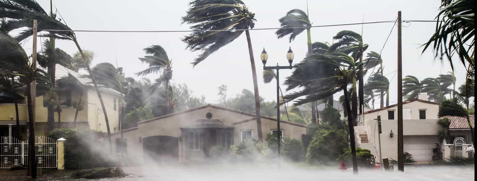 Orkaner får ofte navn. Orkanen Irma herjet i USA og Karibia i 2017.