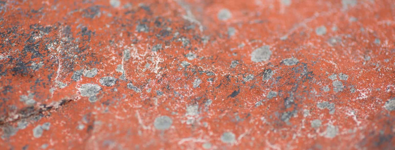 Algen Trentepohlia iolithus gir stein en rødlig overflate