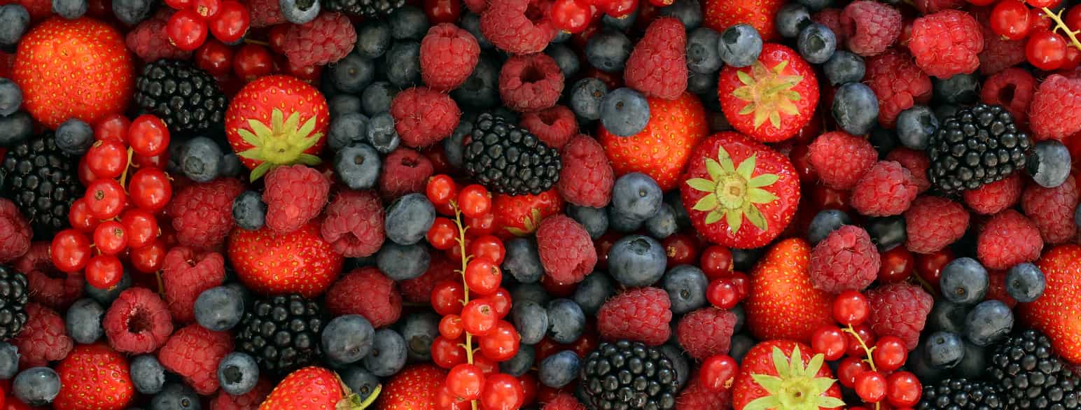 Blanding av forskjellige bær dekker hele bildet; jordbær, blåbær, rips, bringebær og bjørnebær. Foto