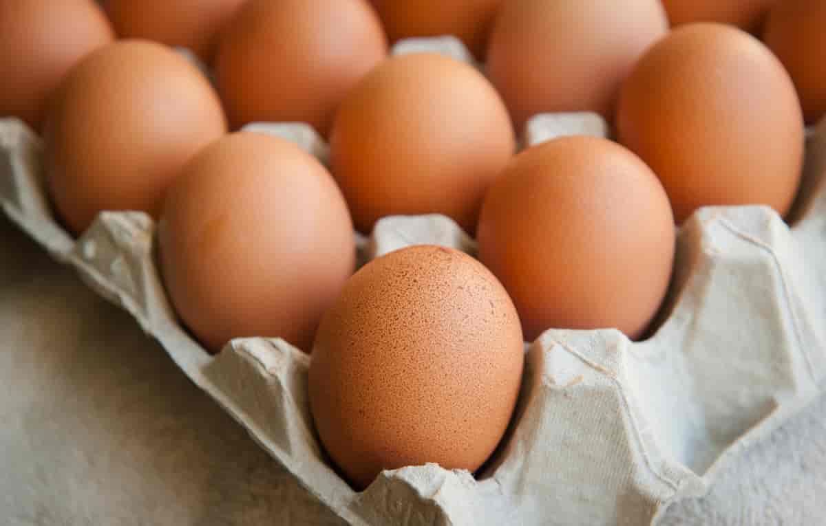 Egg i en eggekartong