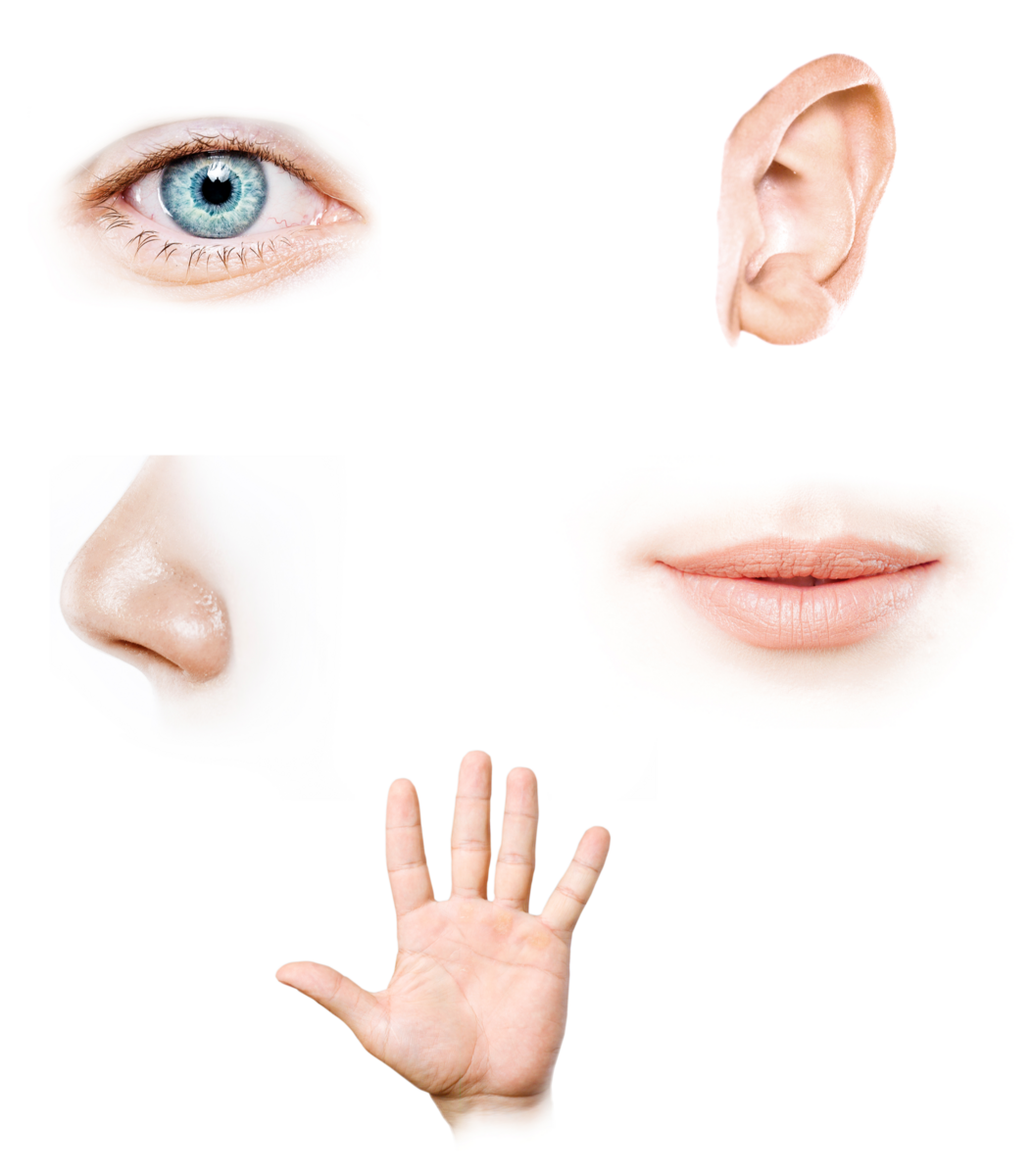 Figur med et øye, et øre, en munn, en nese og en hånd. 