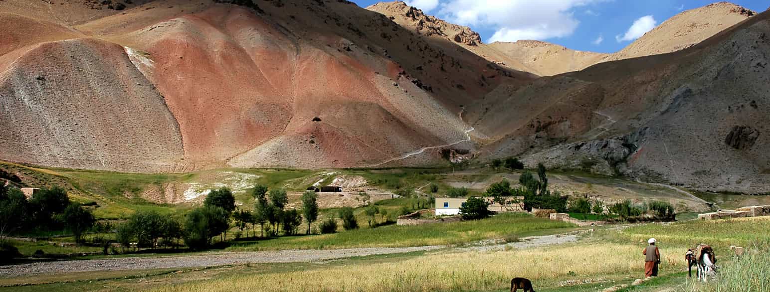 Grå og rødbrune fjellsider med et par bygninger ved foten. Grønne gress-sletter. Helt til høyre i bildet en mann med hvit turban som går ved siden av noen husdyr. Foto