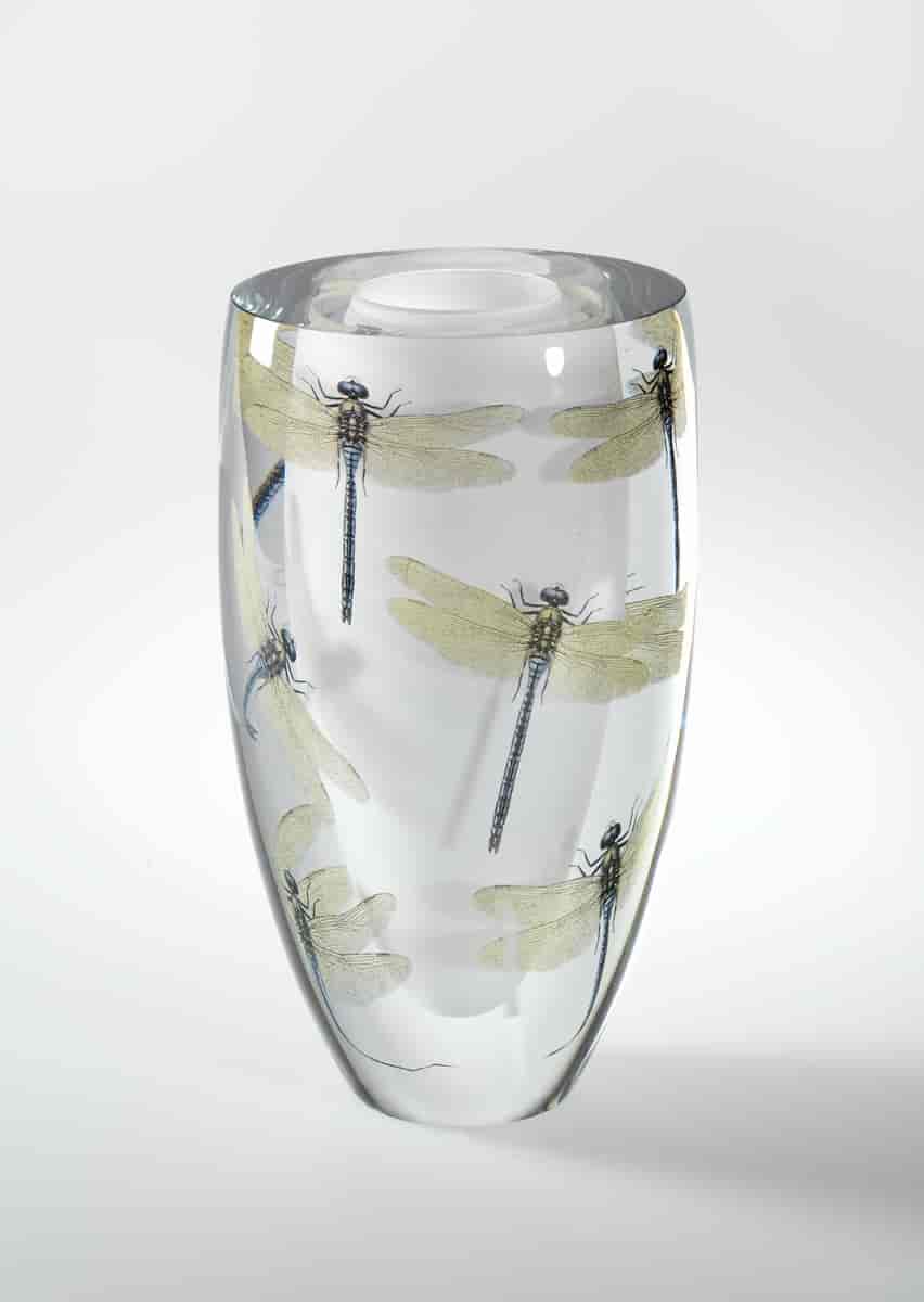 Vase med øyenstikkere