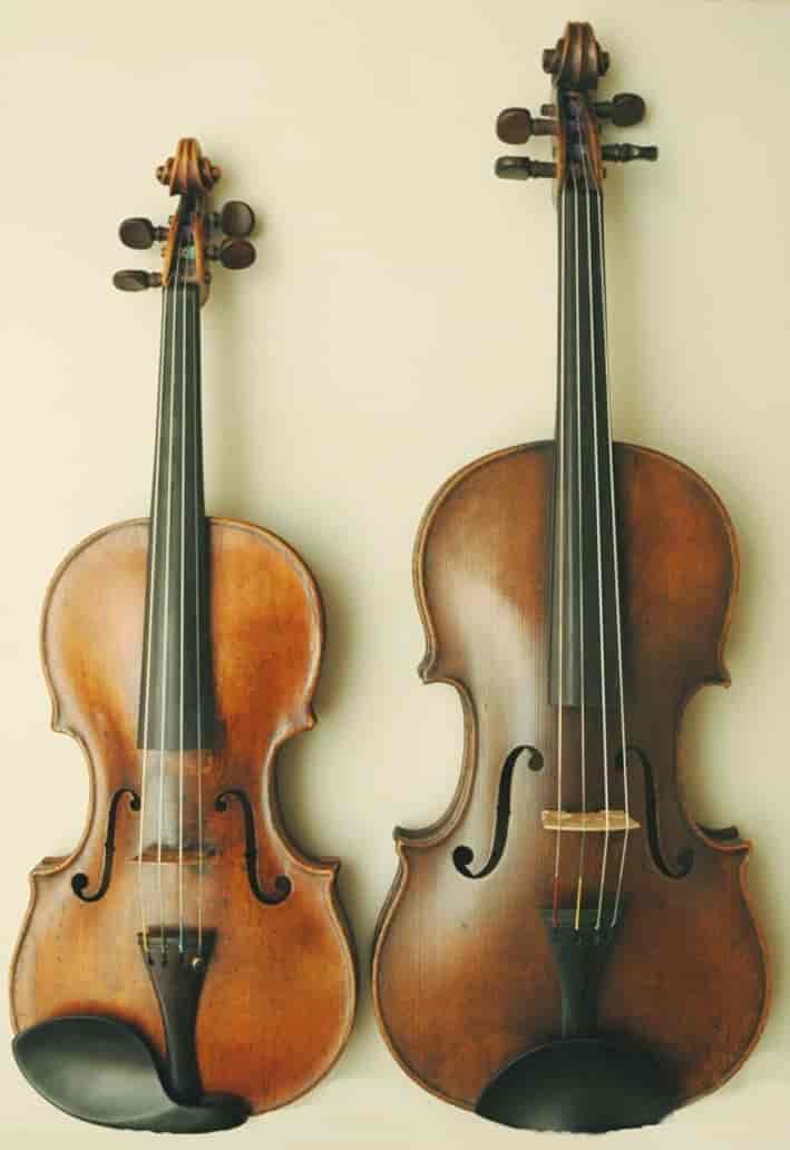 Til venstre på bildet er en fiolin, til høyre er bratsj. Man ser tydelig at bratsjen er et større instrument.