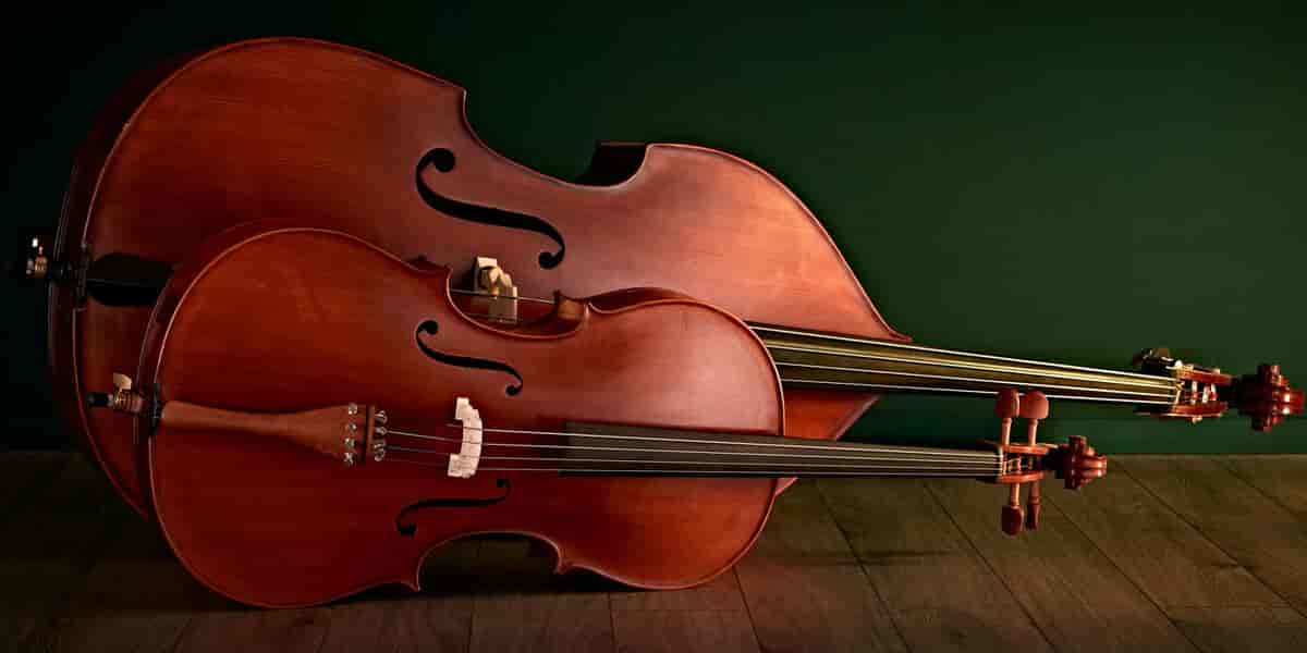 To strenginstrumenter foran hverandre. Celloen er foran og man ser at den er vesentlig mindre enn kontrabass.