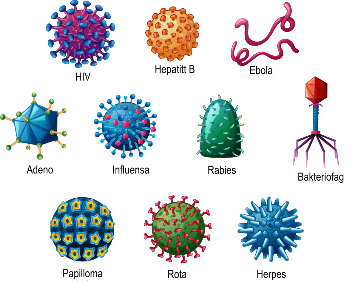 Figur av mange virus