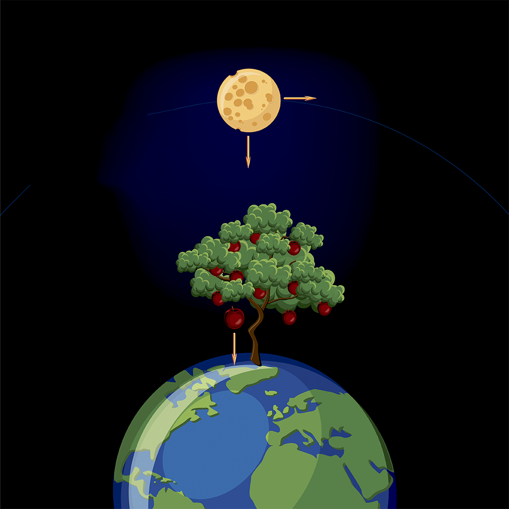 Bildet viser tegning av en jordklode. På jordkloden står det et tre med epler. Et eple er på vei ned mot jorden. En pil peker nedover fra eplet. Over jordkloden er det en tegning av månen med en pil til høyre og en pil nedover.