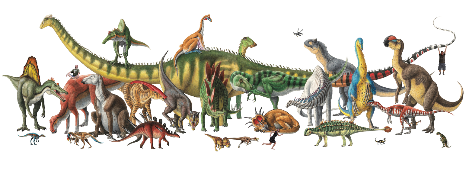 Dinosaurer fra trias, jura og kritt. De varierte mye i størrelse, utseende og levevis. Tre mennesker for skala