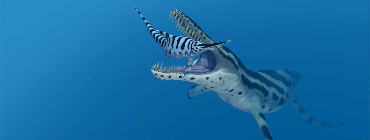 Under vann. Et stort dyr med lang kropp og hale og åpen kjeft med mange tenner gaper over et mindre dyr med lignende form. Digital tegning