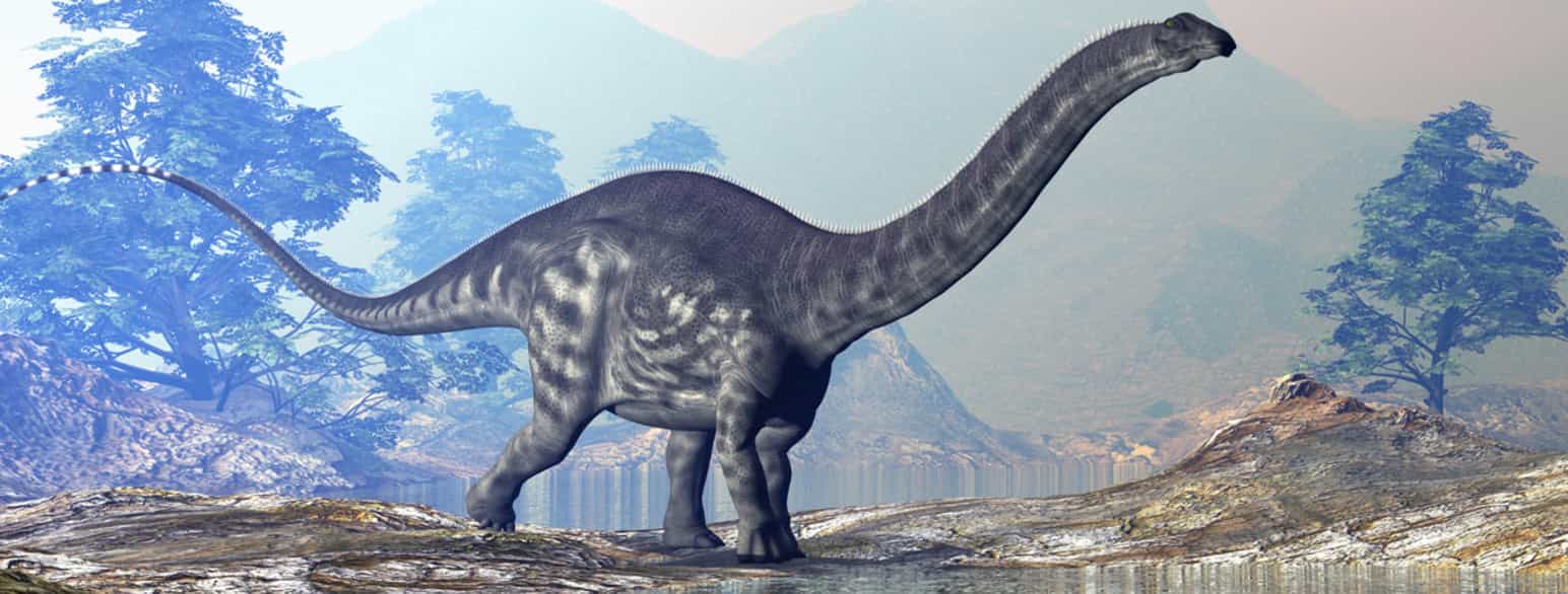 En stor dinosaur med lang hals og hale, og lite hode står i et landskap med fjell og trær. Tegning