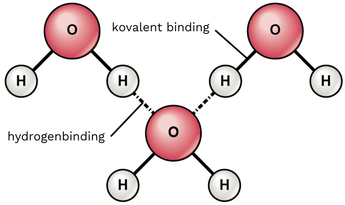 Hydrogenbindinger mellom tre vannmolekyler