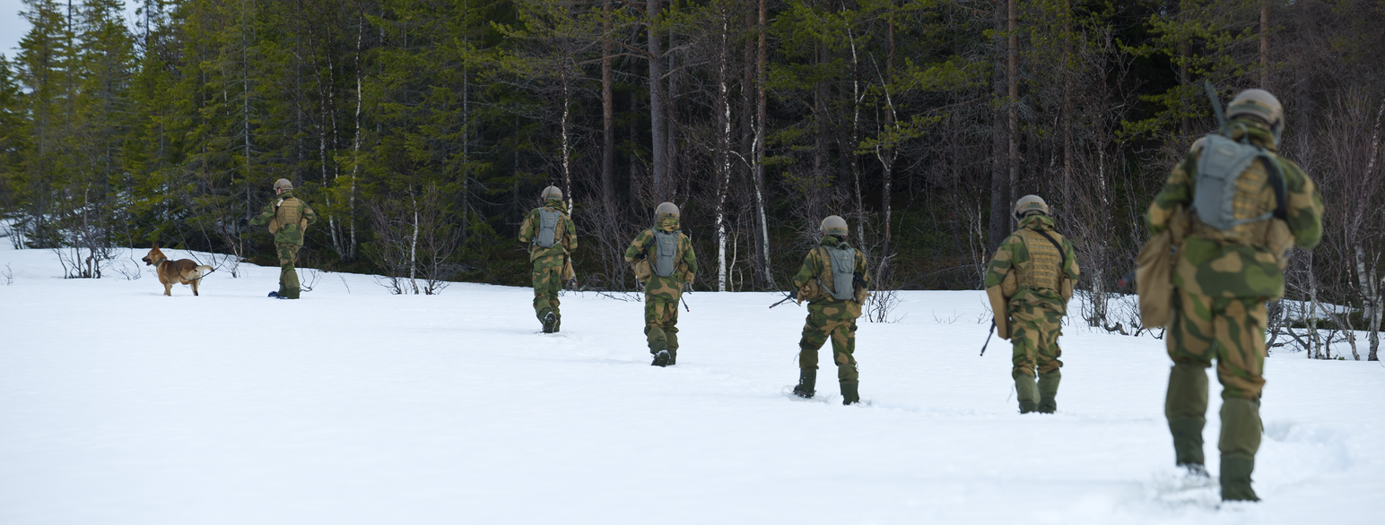 Foto av en rekke med soldater i grønn feltuniform som går etter hverandre på en snødekket bakke. Forrest går en soldat med en stor hund. 