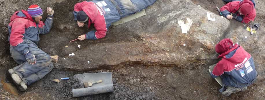 Fotografi tatt ovenfra av fire mennesker som graver i jorda. De graver og skraper forsiktig med tynne pinner.