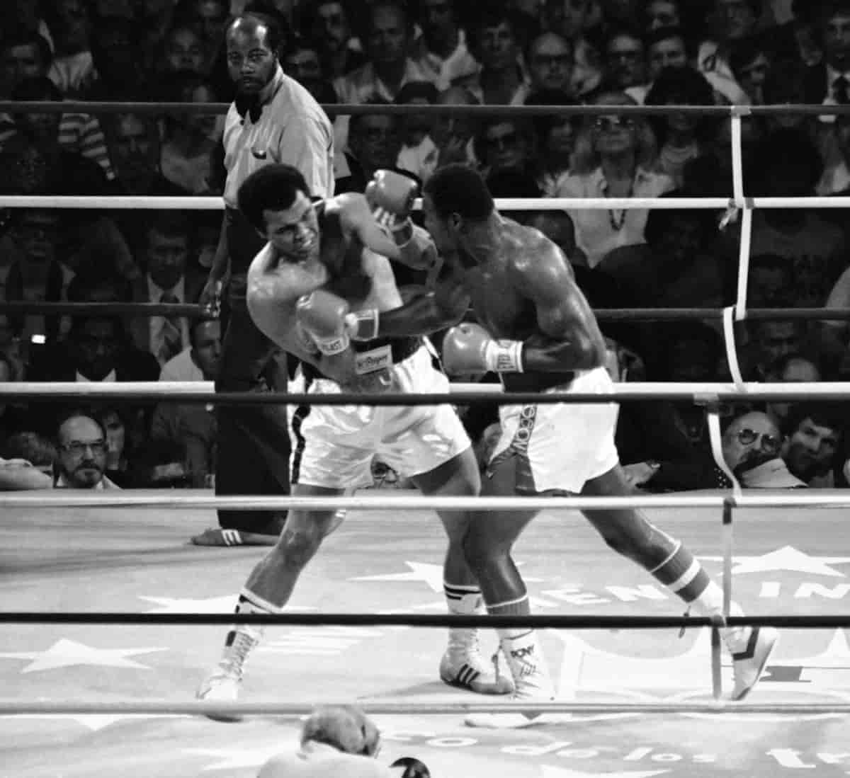 Muhammad Alis bokser sin siste tittelkamp mot Larry Holmes i 1980.