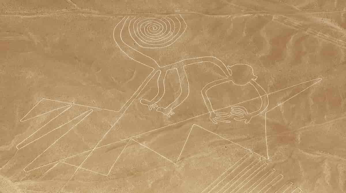 Ape, Nazcalinjene
