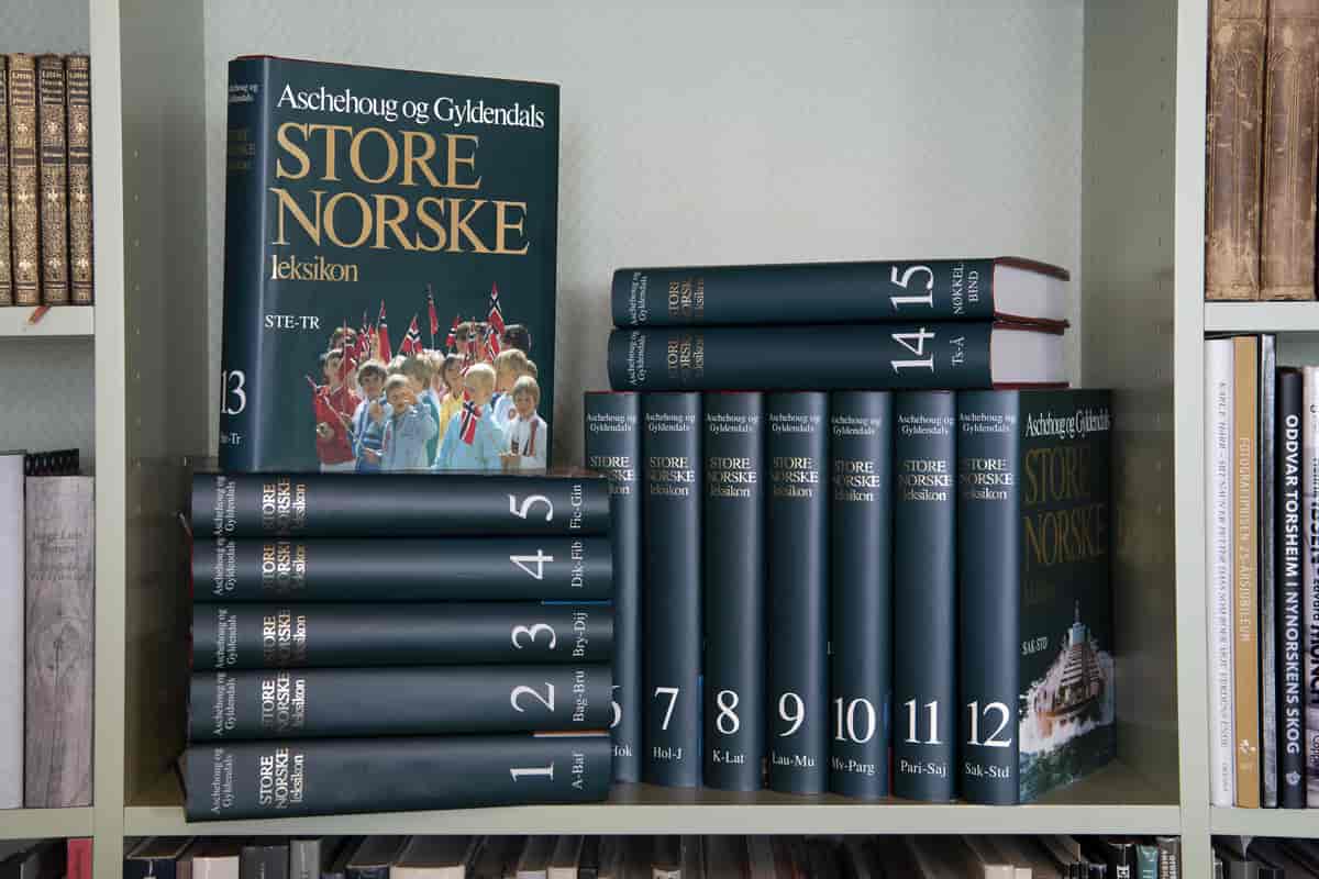 15 bind av Store norske leksikon i en bokhylle.