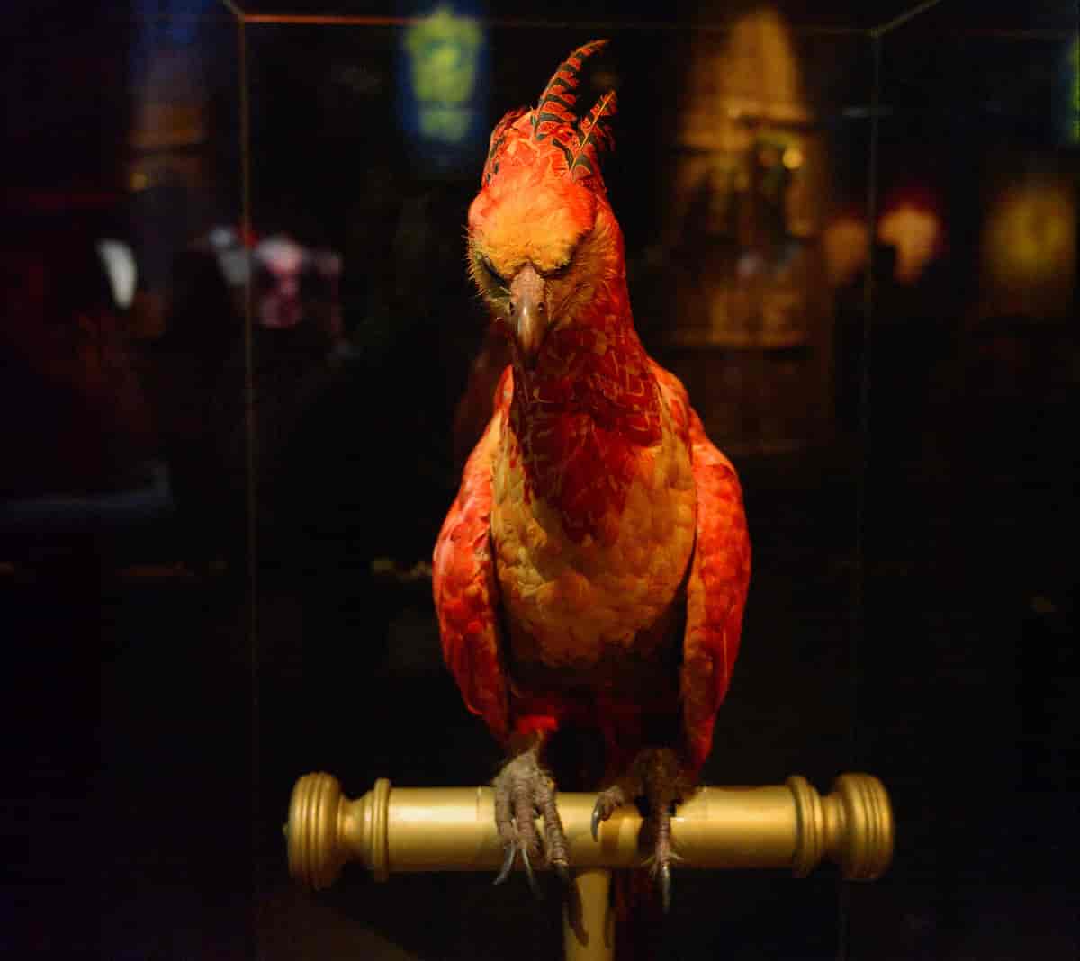 Foto av en modell av en fugl med røde og oransje fjær montert på en pinne i et utstillingslokale.