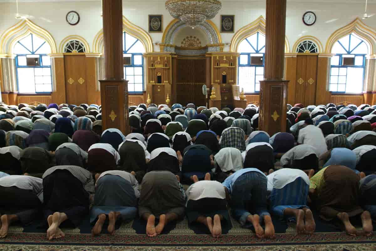 Fotografi av mange mennesker som ber inne i en moské. Man ser dem bakfra. De kneler på gulvet og har hodet ned mot gulvet. Føttene er bare.