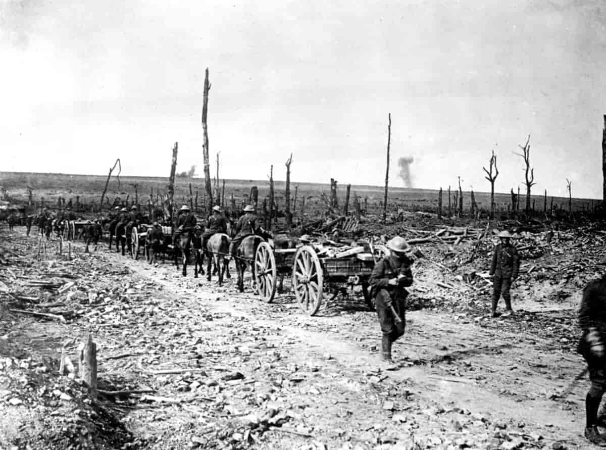 Svart-hvitt foto av øde landskap med tørre, kanskje brente trær. Soldater sitter på hester som trekker vogner med last.