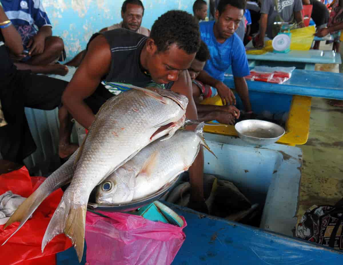 Fiskere på et marked. En mann har lagt tre store fisker på ei vekt.