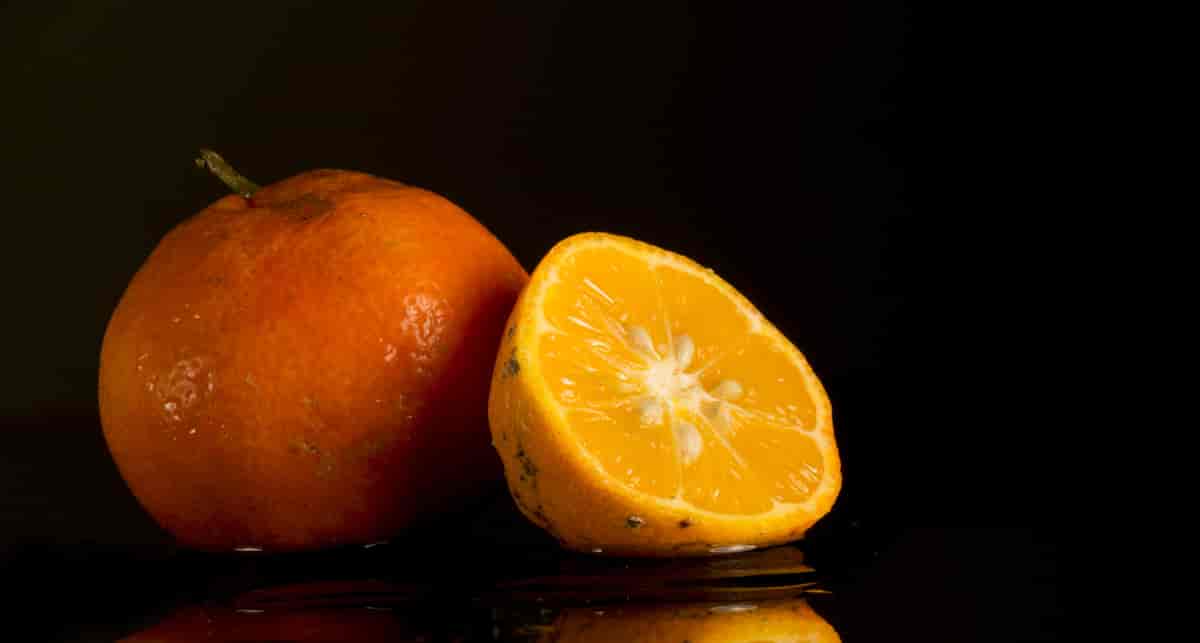 limoner (Citrus x limonia)