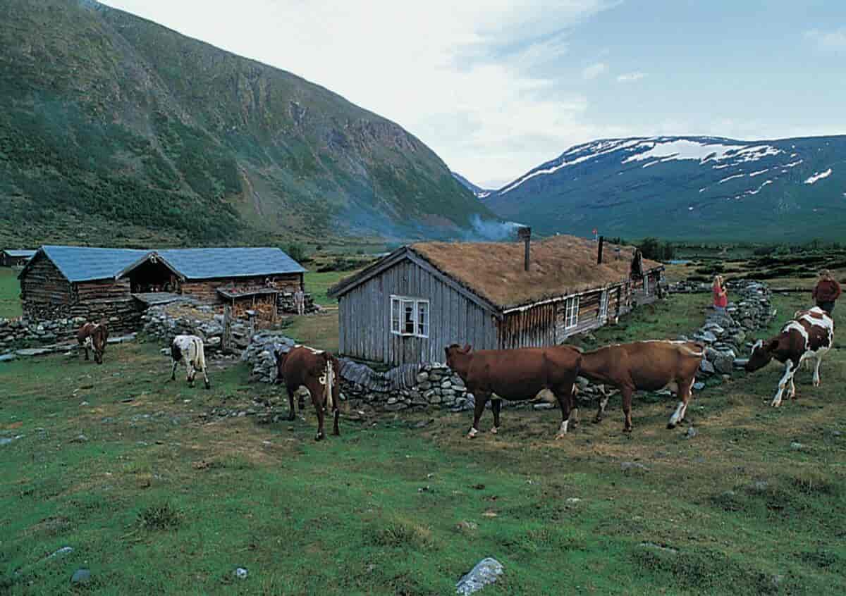 Fotografi av gammelsetra i Grøvudalen i Sunndal kommune