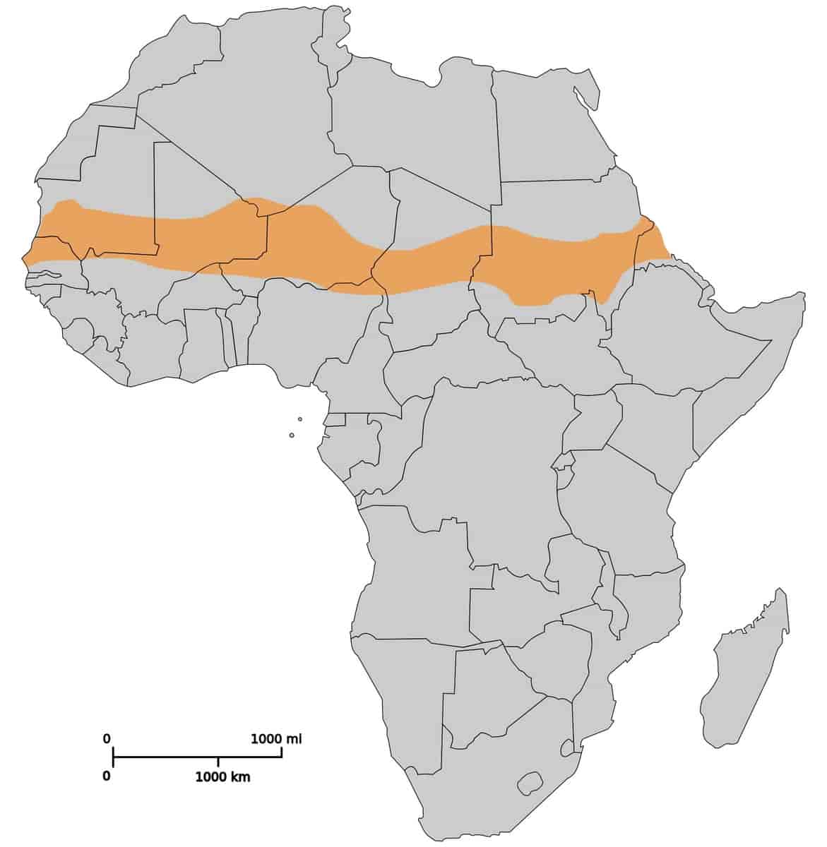 Kart over Afrika med Sahel markert som ei gul stripe