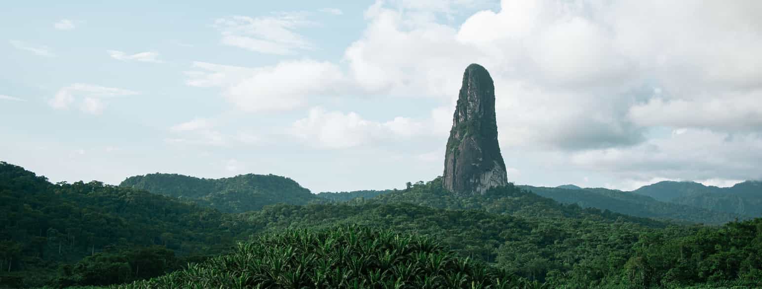 Foto av høyt, smalt fjell som står rett opp fra regnskogen.