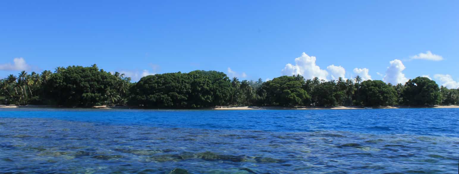 Foto fra lagune i Marshalløyene. Strandlinje med palmer fotografert fra vannet.