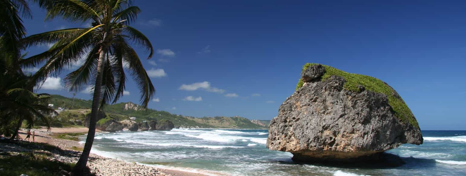 Foto av strand med palmer, og en diger steinblokk litt ut i vannet