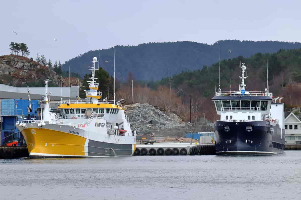 Bløggebåtene Tauranga og Seihaust på Storebø