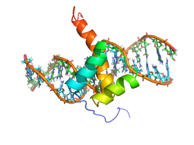 Homeoboksen i et gen resulterer i en aminosyrerekkefølge som fester seg til DNA.