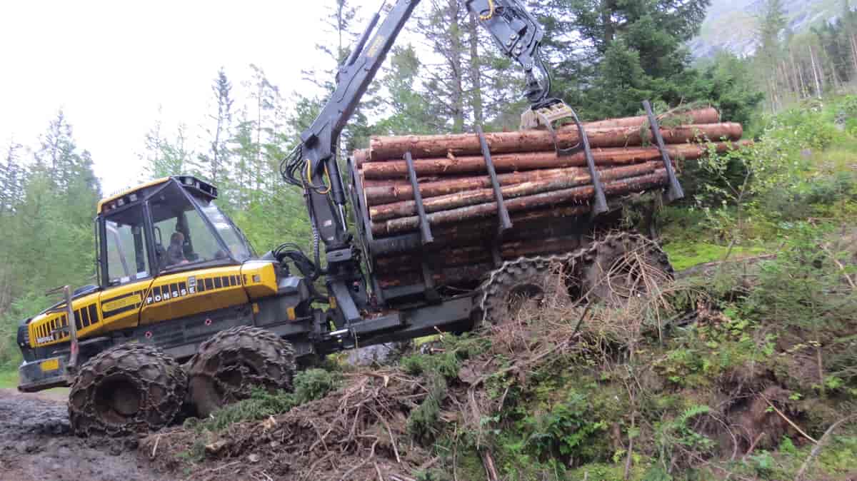 Utkjøring av tømmer med gravedrift.