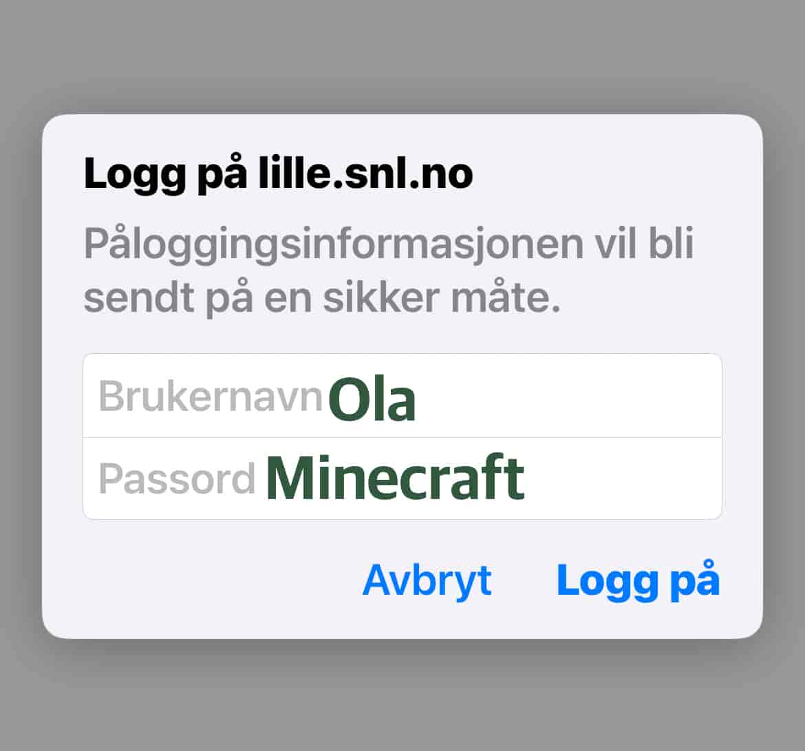 En pålogging hvor det står brukernavn: Ola og Passord: Minecraft