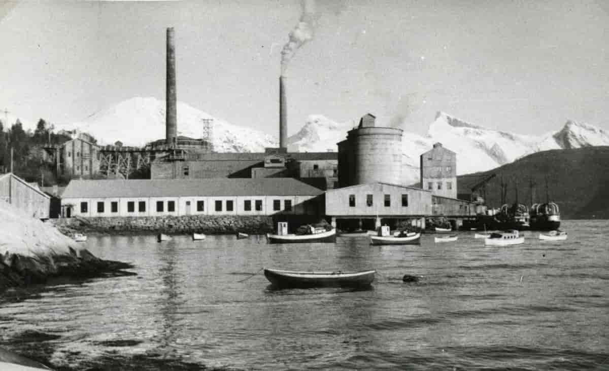 Nordland Portland Cementfabrik i 1950