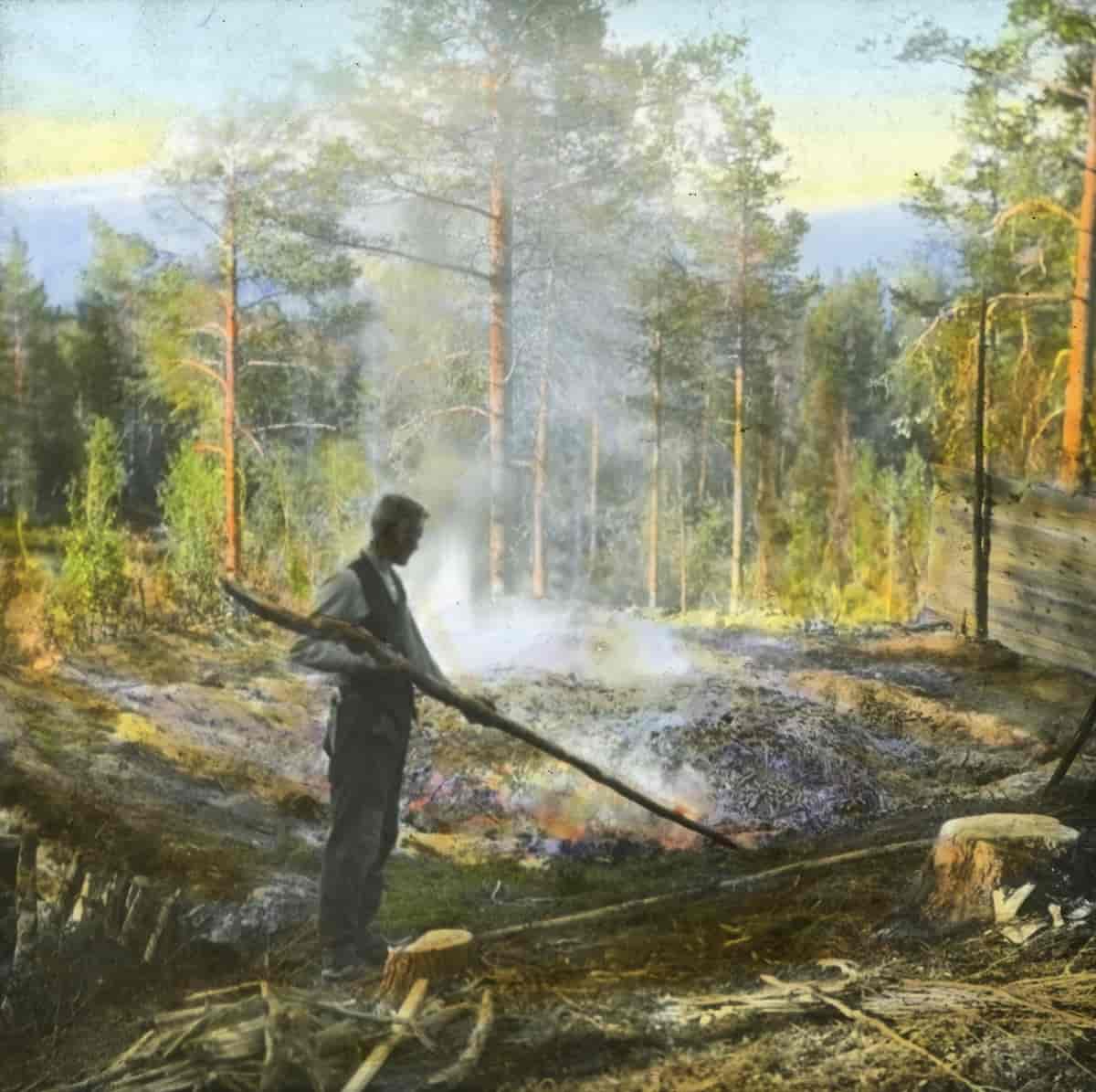 Tjærebrenning i Målselvdalen, 1928