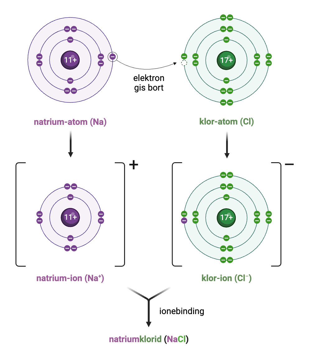 Et natrium-atom er skissert med 11 elektroner fordelt over tre sirkler rundt kjernen (2, 8, 1). Et klor-atom er skissert med 17 elektroner fordelt over tre sirkler rundt kjernen (2, 8, 7). Natrium-atomet gir bort ett elektron til klor-atomet. Natrium-ionet sitter igjen med 10 elektroner fordelt over to sirkler (2, 8) og er positivt ladd. Klor-ionet har 18 elektroner fordelt over tre sirkler (2, 8, 8) og er negativt ladd.