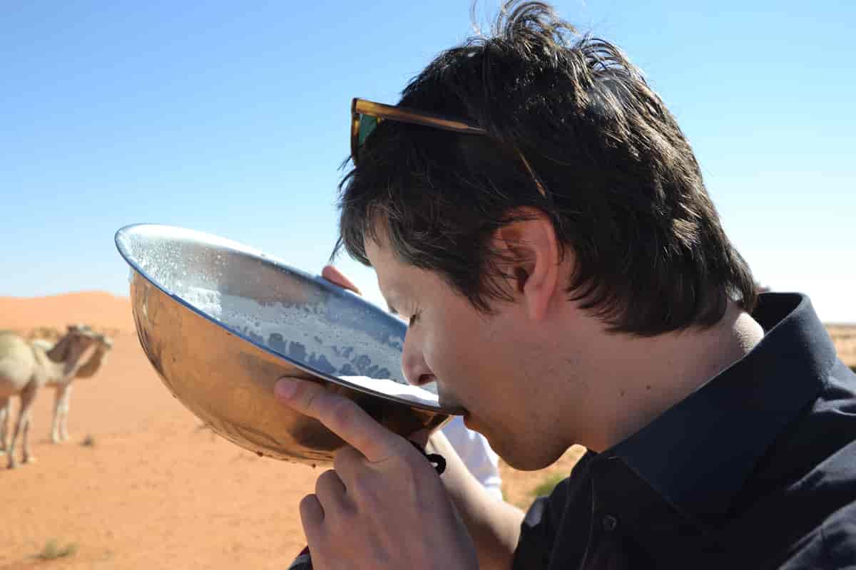 En mann drikker kamelmelk, foto fra ørkenen i Saudi-Arabia