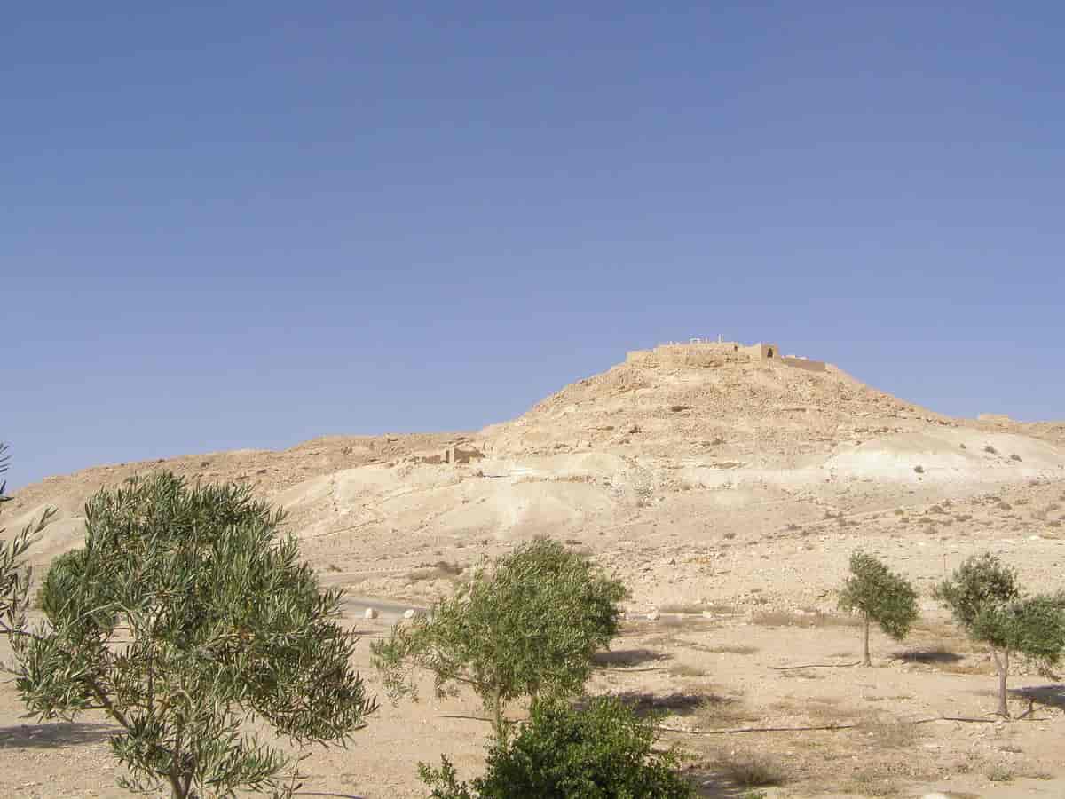 Ørkenbyen Avdat i Negev-ørkenen.