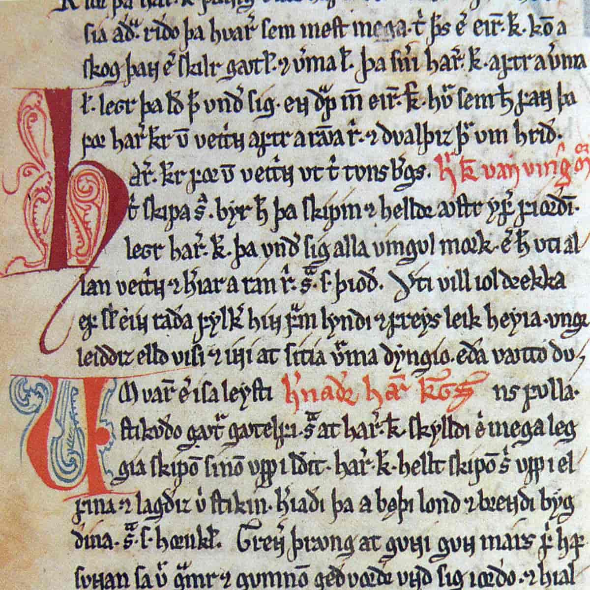 Bilde fra Codex Frisianus.