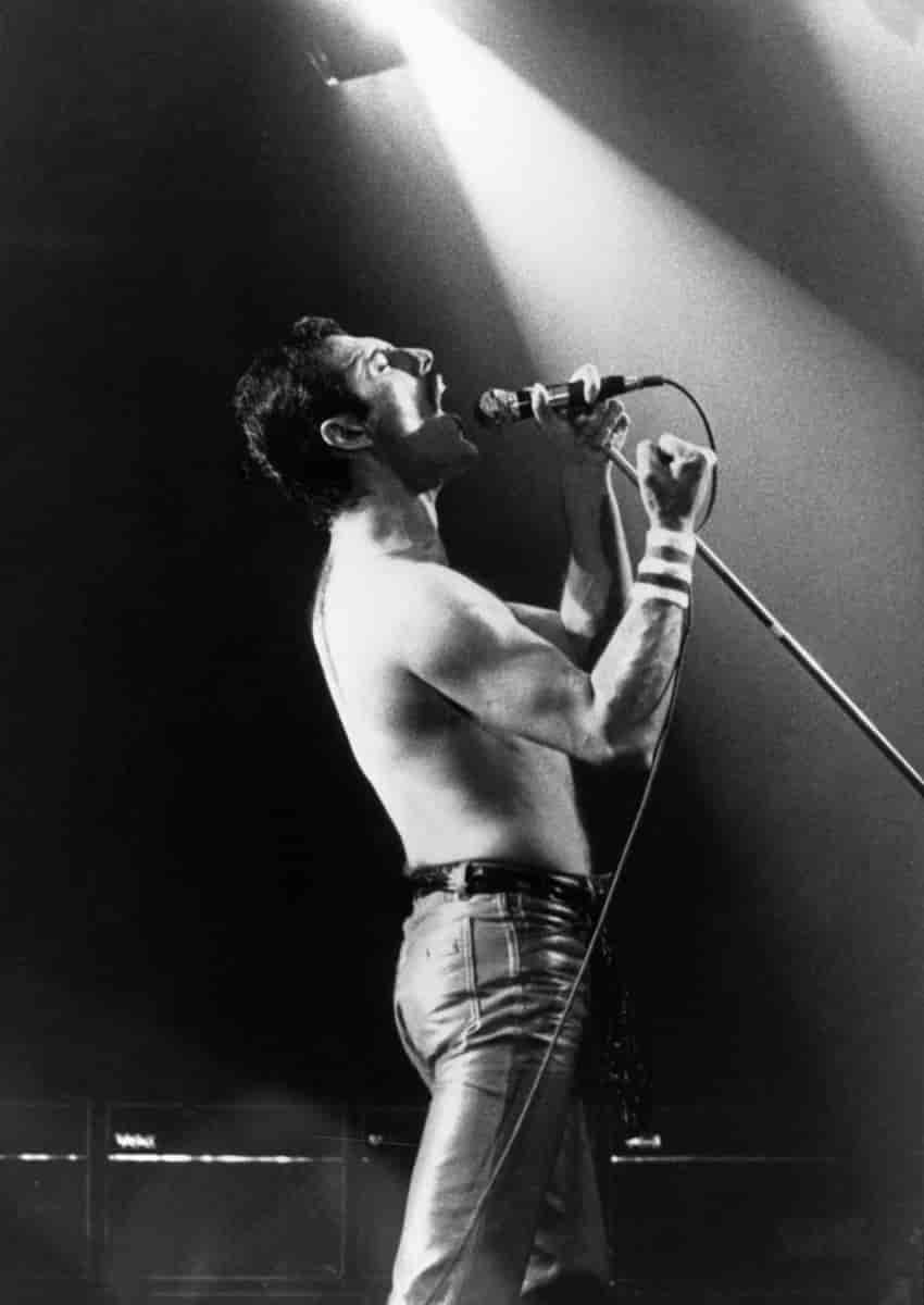 Freddie Mercury i bandet Queen. Konsert i Drammenshallen i 1982. 